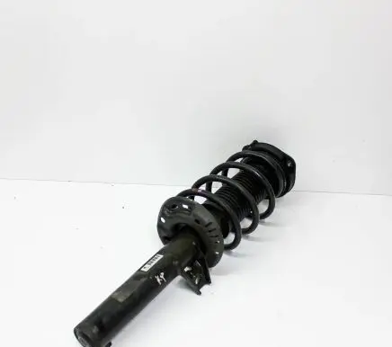 Volkswagen Eos Front shock absorber/damper 1T0413031DS