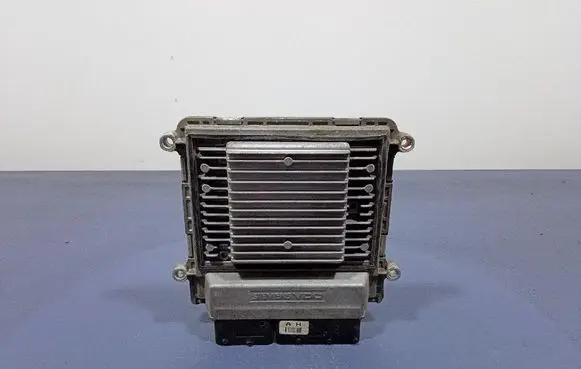 KIA Carens II Engine control unit/module ECU 3911225050