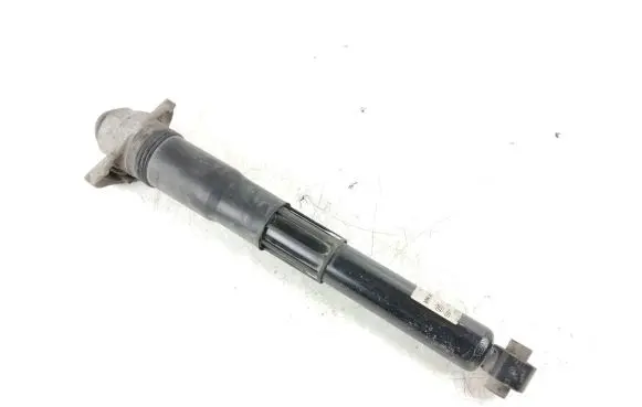 Volkswagen ID.4 Rear shock absorber/damper 1EA512013BD