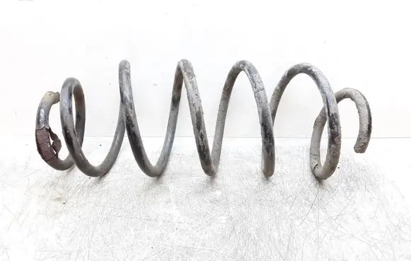 Front coil spring