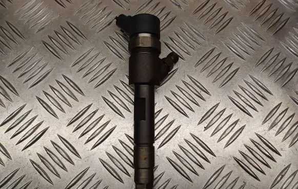 Suzuki Grand Vitara II Fuel injector 0445110230 8200389369