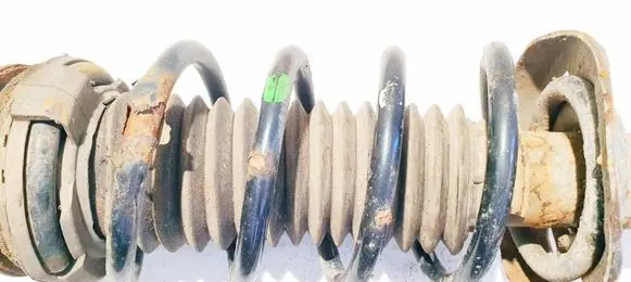 Front coil spring