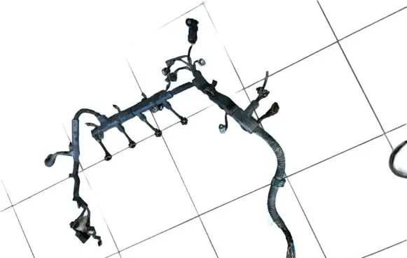 Honda Accord Fuel injector wires 