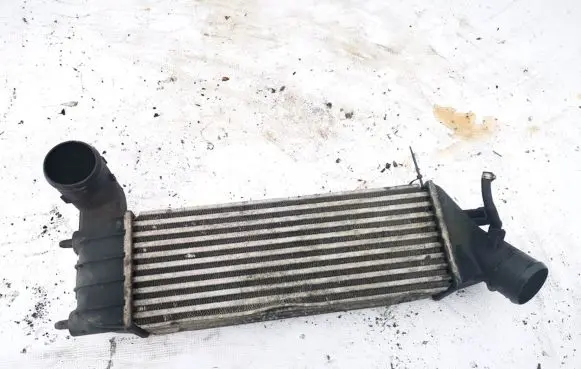 Peugeot 807 Intercooler radiator 1489396080 870229hf
