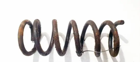 Front coil spring