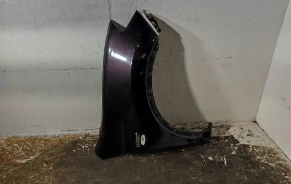Nissan Qashqai+2 Fender