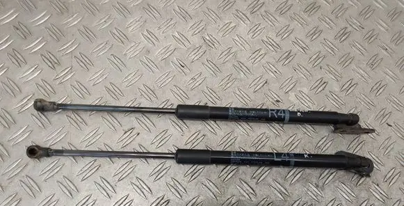 Toyota Yaris Tailgate/trunk strut/damper 689600W640 689500W660