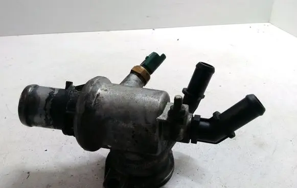 Thermostat/thermostat housing