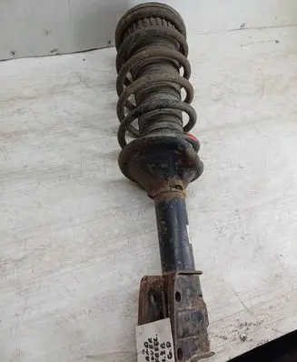 Land Rover Freelander Rear shock absorber with coil spring 