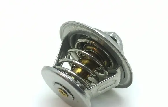 Microcar MC Thermostat 9195124 811200