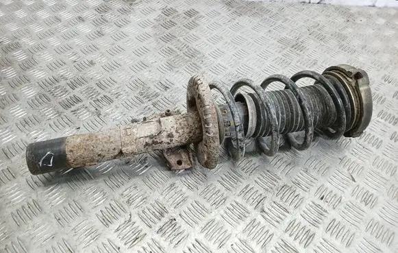 Volkswagen Polo IV 9N3 Front shock absorber/damper 