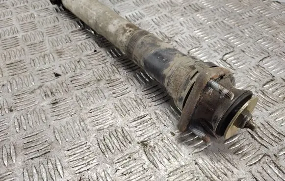 Rear shock absorber/damper