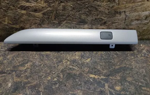 Opel Antara Panel trim 20880539