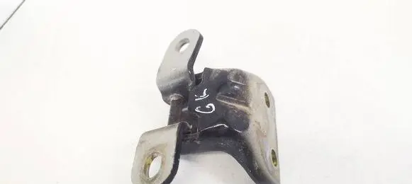Hyundai Tucson JM Rear door lower hinge