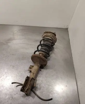 Suzuki Grand Vitara II Front shock absorber with coil spring