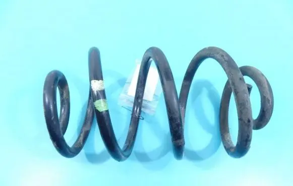 Rear coil spring