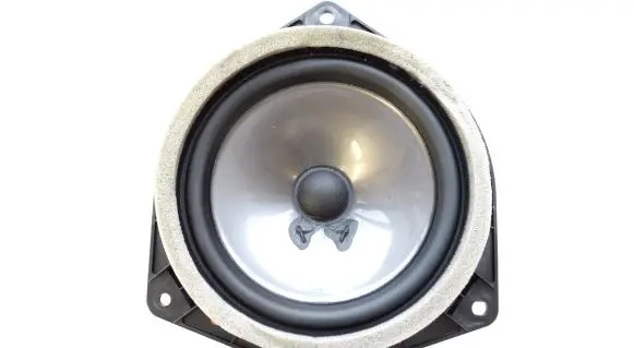 Lexus RX 450H Front door speaker 8616048290