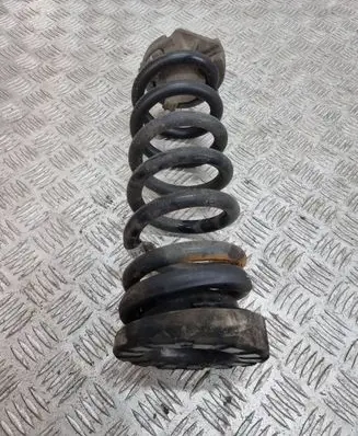 Rear coil spring