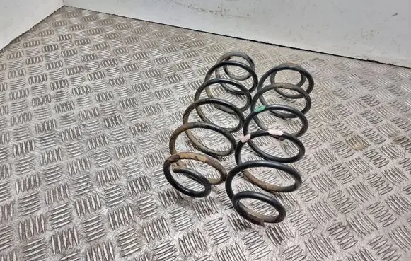 Rear coil spring