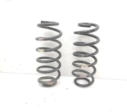 Rear coil spring