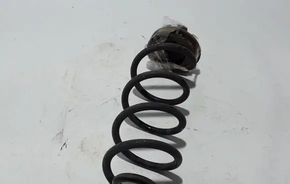Dacia Sandero III Rear coil spring 550201532R