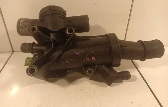 Thermostat/thermostat housing