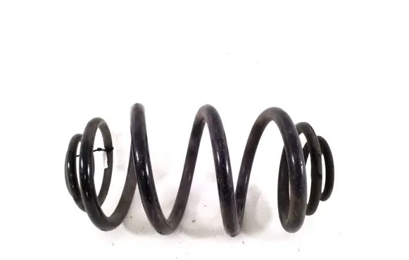 Renault Trafic III (X82) Rear coil spring 550202870R