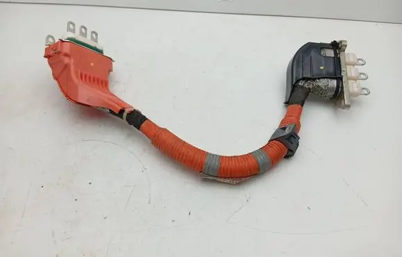 Lexus RX 450H Other wiring loom G214848080