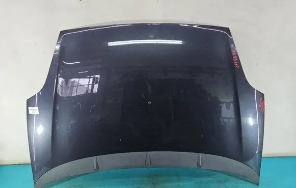 Engine bonnet/hood