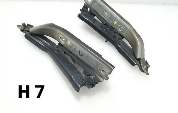 Volkswagen Tiguan Engine bonnet/hood hinges 5NA823302g 5NA823301G lc9x