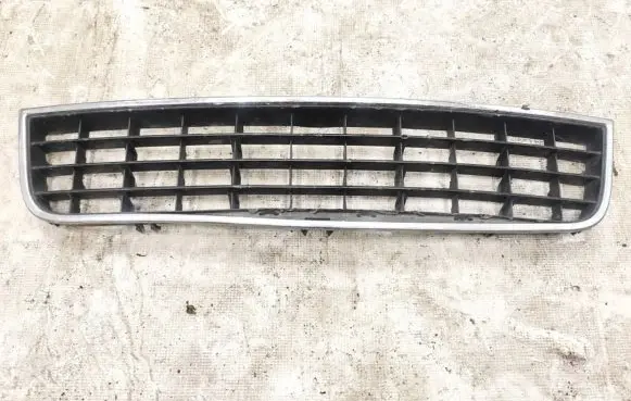 Front bumper lower grill