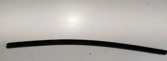 Rear door glass trim molding