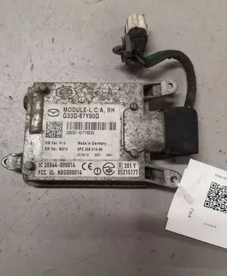 Blind spot module