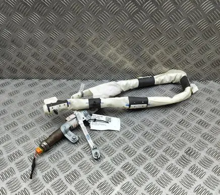 Tesla Model X Roof airbag 103675600E 630692601K