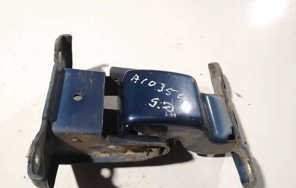 Rear door lower hinge