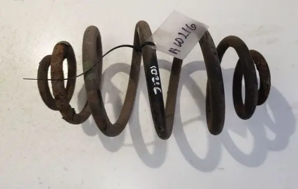 Rear coil spring