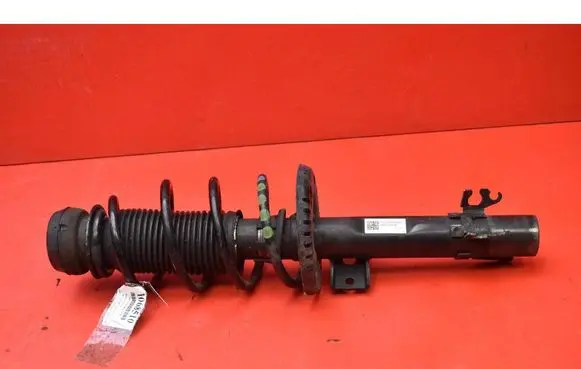 Skoda Fabia Mk1 (6Y) Front shock absorber/damper 6R0413031BF