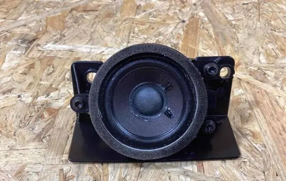Porsche Panamera (971) Headliner speaker 971035361a