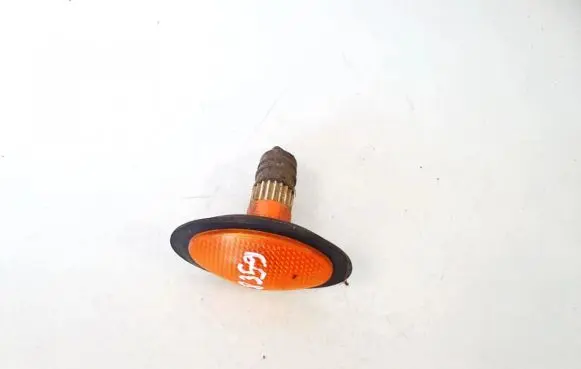 Front fender indicator light