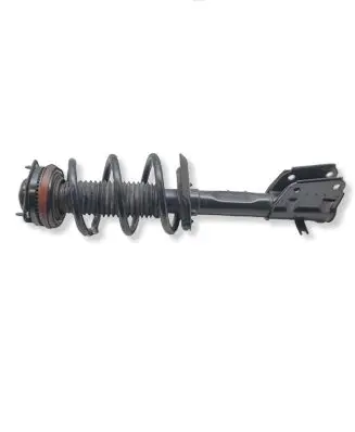 Chrysler Pacifica Front shock absorber with coil spring P68294076AE 824904012360 68294076AE