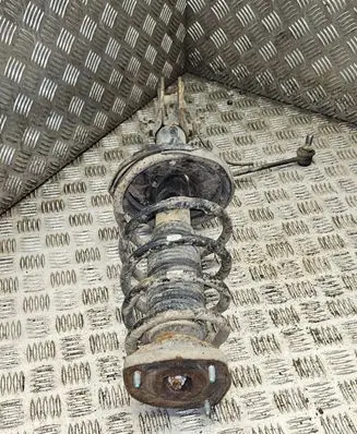 Rear shock absorber with coil spring