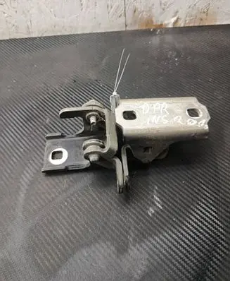 Opel Insignia A Front door hinge set ES03A046574