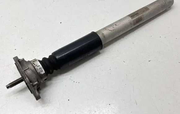 Porsche Panamera (970) Rear shock absorber/damper 97033304533 801404003493 462400010429
