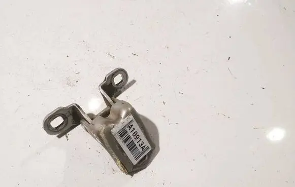 Renault Scenic II - Grand scenic II Rear door lower hinge 