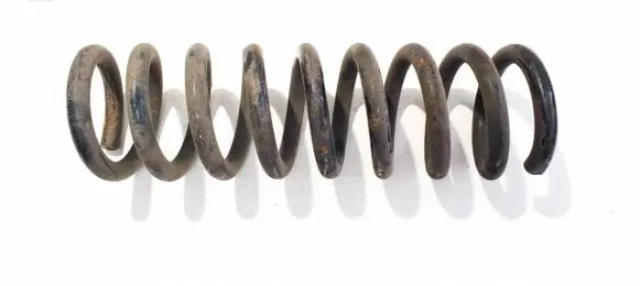 Rear coil spring