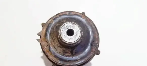 Coil spring mount