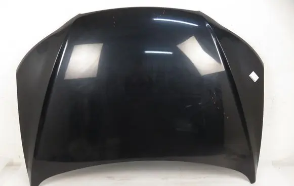 Hyundai Santa Fe Engine bonnet/hood 