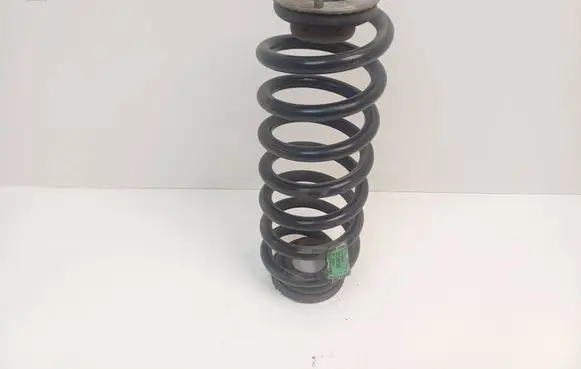 Rear coil spring