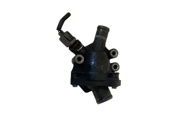 Thermostat/thermostat housing
