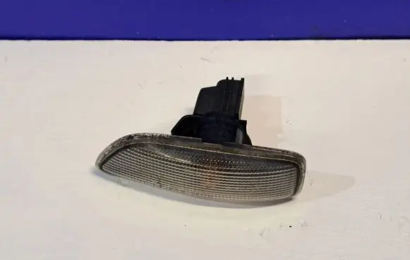 Front fender indicator light